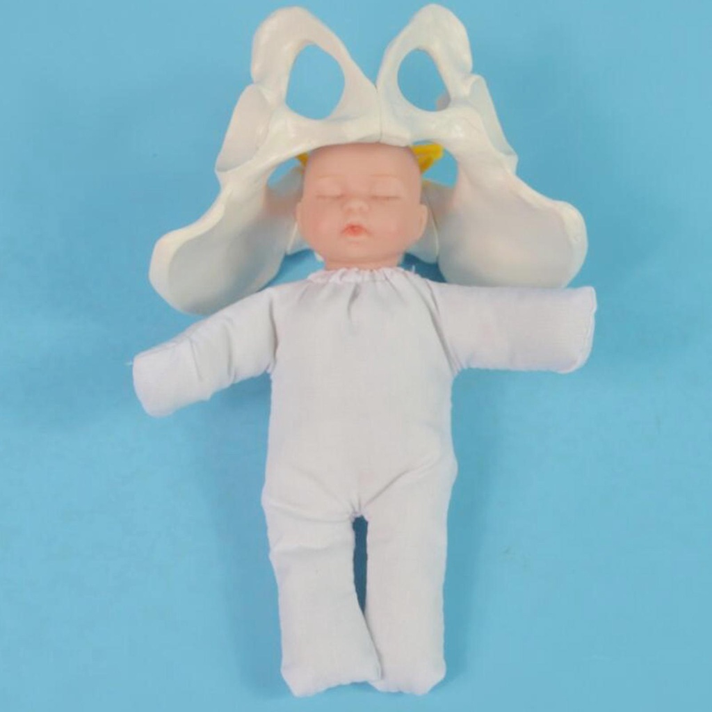 Mô Hình Pelvis Người Dùng Dạy Học Cho Nữ