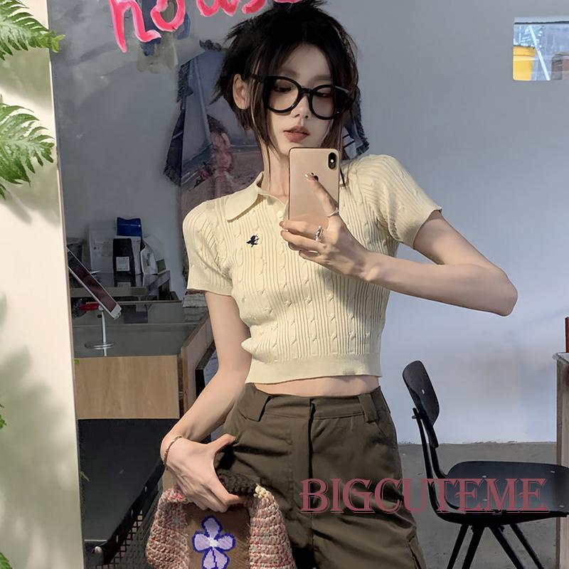 Áo Croptop Ngắn Tay Thêu Họa Tiết Thời Trang Mùa Hè Dành Cho Nữ