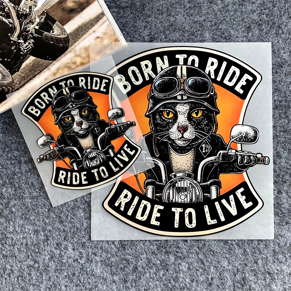 Sticker Dán Trang Trí Xe Hơi Xe Máy JDM Hình Mèo Hoạt Hình Hoài Cổ Chống Nước