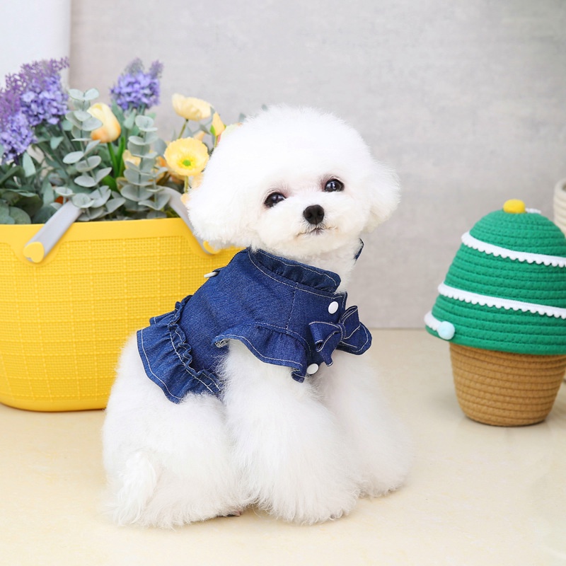 Đầm Jean Cotton Trang Phục Mùa Hè Dễ Thương Có Dây Xích Và Vòng Đeo Cho Chó Mèo Size Xl