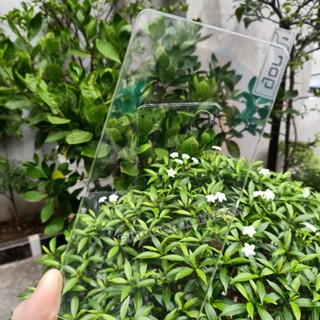 Cường Lực Gor Redmi Note 14 5G , 14 4G, 13, 13 Pro,12 Pro/Plus, Turbo 3,12 Turbo, 12T Pro, 12, 12S,11. Kính 9H/ 2.5D