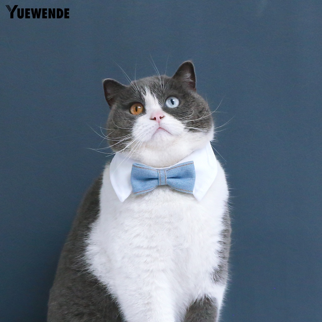 Vòng Cổ YQ.E Mềm Mại Có Thể Điều Chỉnh Dành Cho Thú Cưng