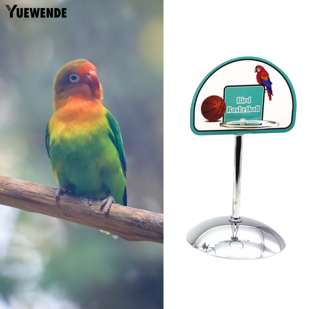 1 Bộ Đồ Chơi Bóng Rổ Đế Tròn Có Chuông Cho Chim Vẹt