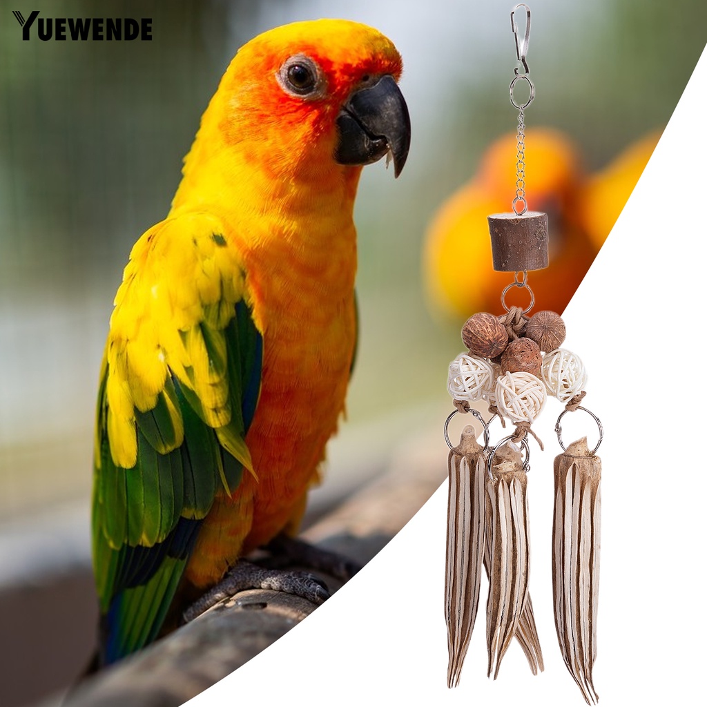 Đồ Chơi Vỏ Dừa Chống Cắn Dành Cho Chim Vẹt