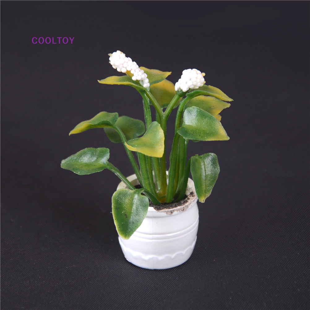 Mô Hình Chậu Hoa Bằng Đất Sét Tỉ Lệ 1: 12 Trang Trí Nhà Búp Bê