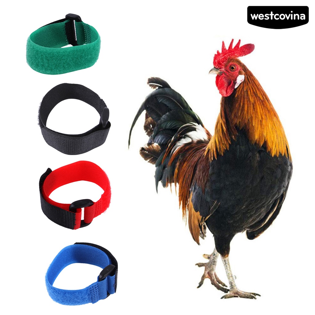 [COD]♞Set 2 Vòng Cổ Nylon Siêu Mềm Chống Mài Mòn Cho Gia Cầm Ngỗng