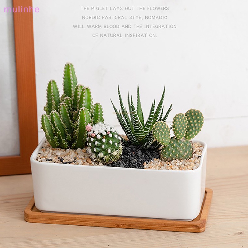 Chậu Hoa Sứ Trắng Hình Tròn / Chữ Nhật Thiết Kế Đơn Giản Tiện Dụng