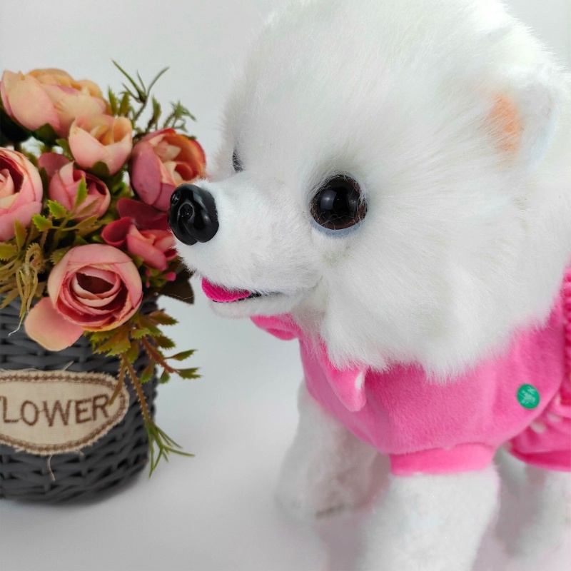 Thú Nhồi Bông Đồ Chơi Điện Tử Có Nhạc Và Dây Dắt Dành Cho Cún Cưng