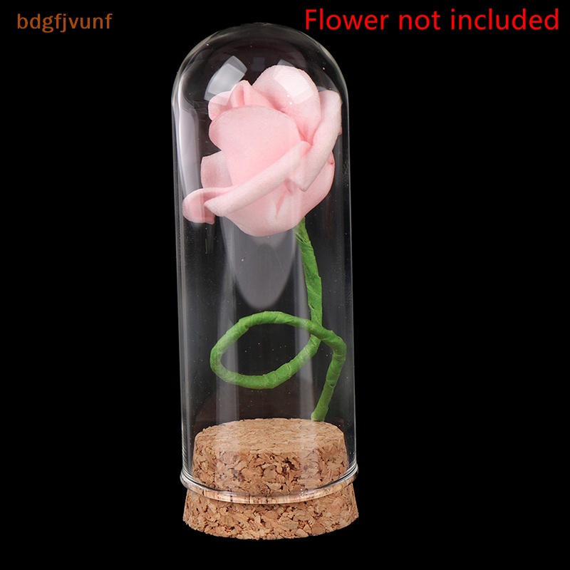 Hũ Gỗ BDGF 1 / 6 Dùng Trưng Bày Búp Bê Có Đế Gỗ Bần