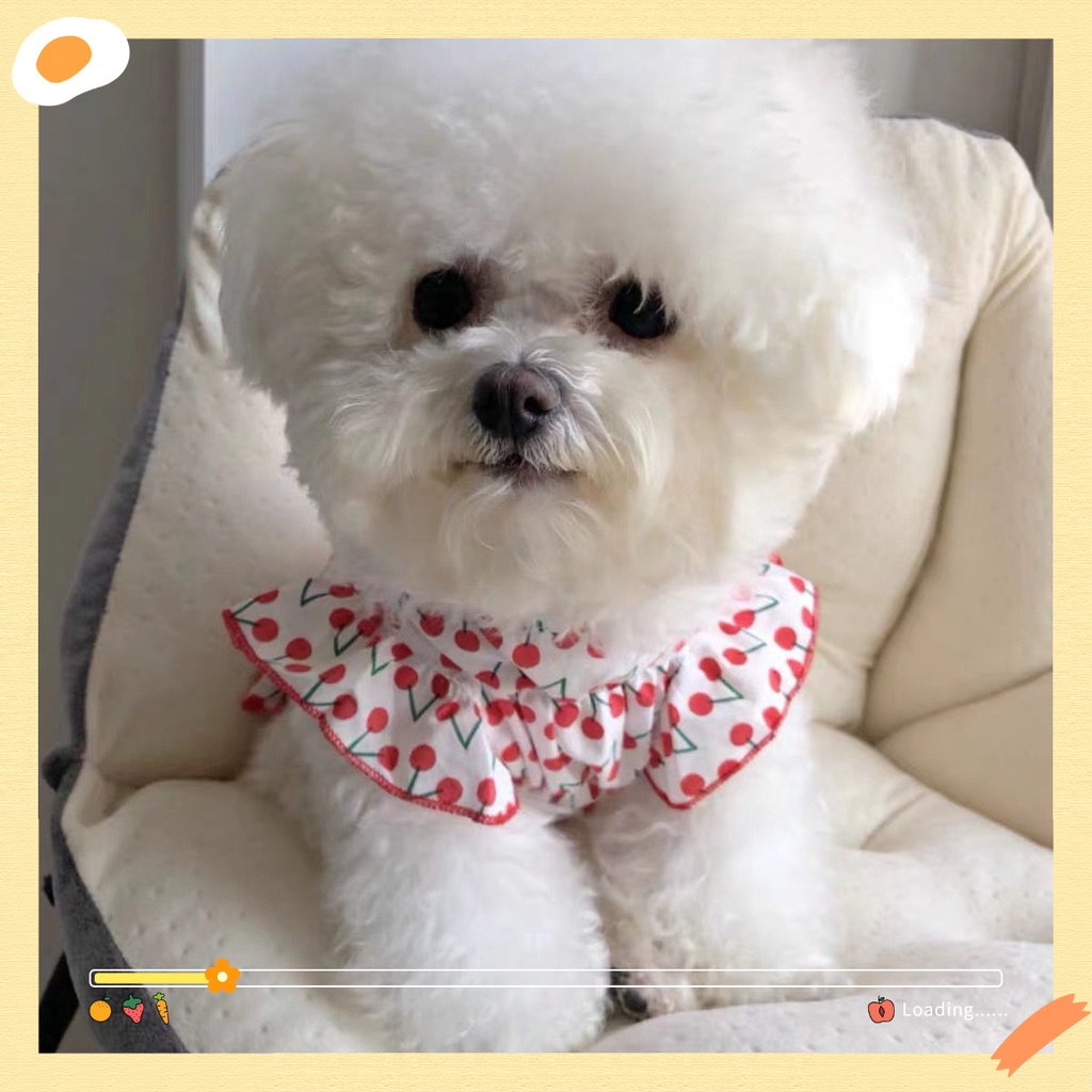 Áo Mặc Dưới Mùa Hè Thoáng Khí Chống Rơi Dành Cho Cún Cưng Teddy Bichon Frise