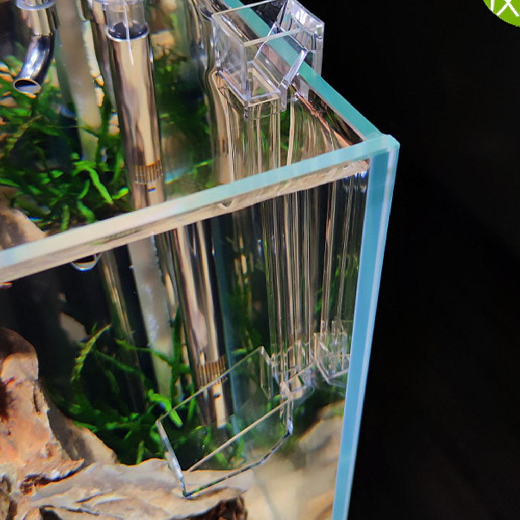 Ống Cho Cá Ăn Trong Suốt Có Thể Tháo Rời Tiện Dụng