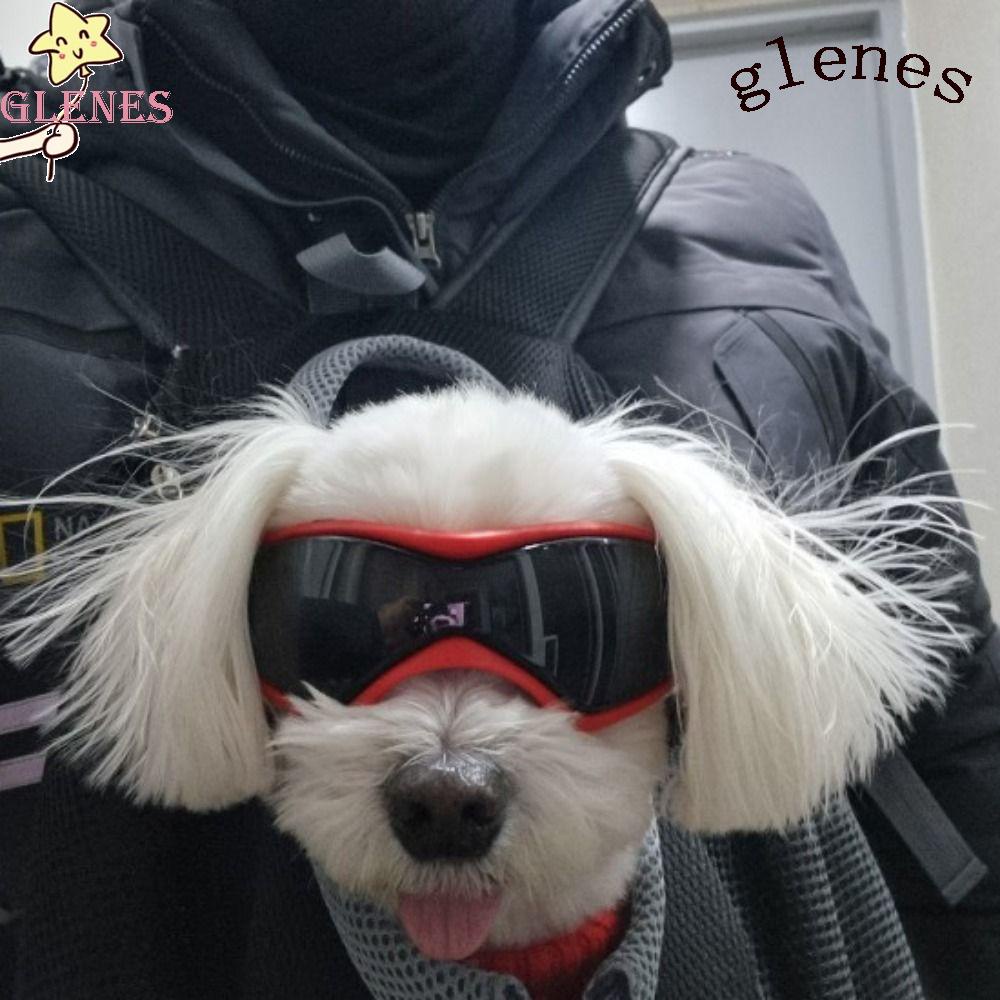 Kính Bảo Vệ Mắt Chống Tia UV Chống Nước Chống Bụi Dùng Trượt Tuyết Dành Cho Mèo Cưng Mẫu 2023