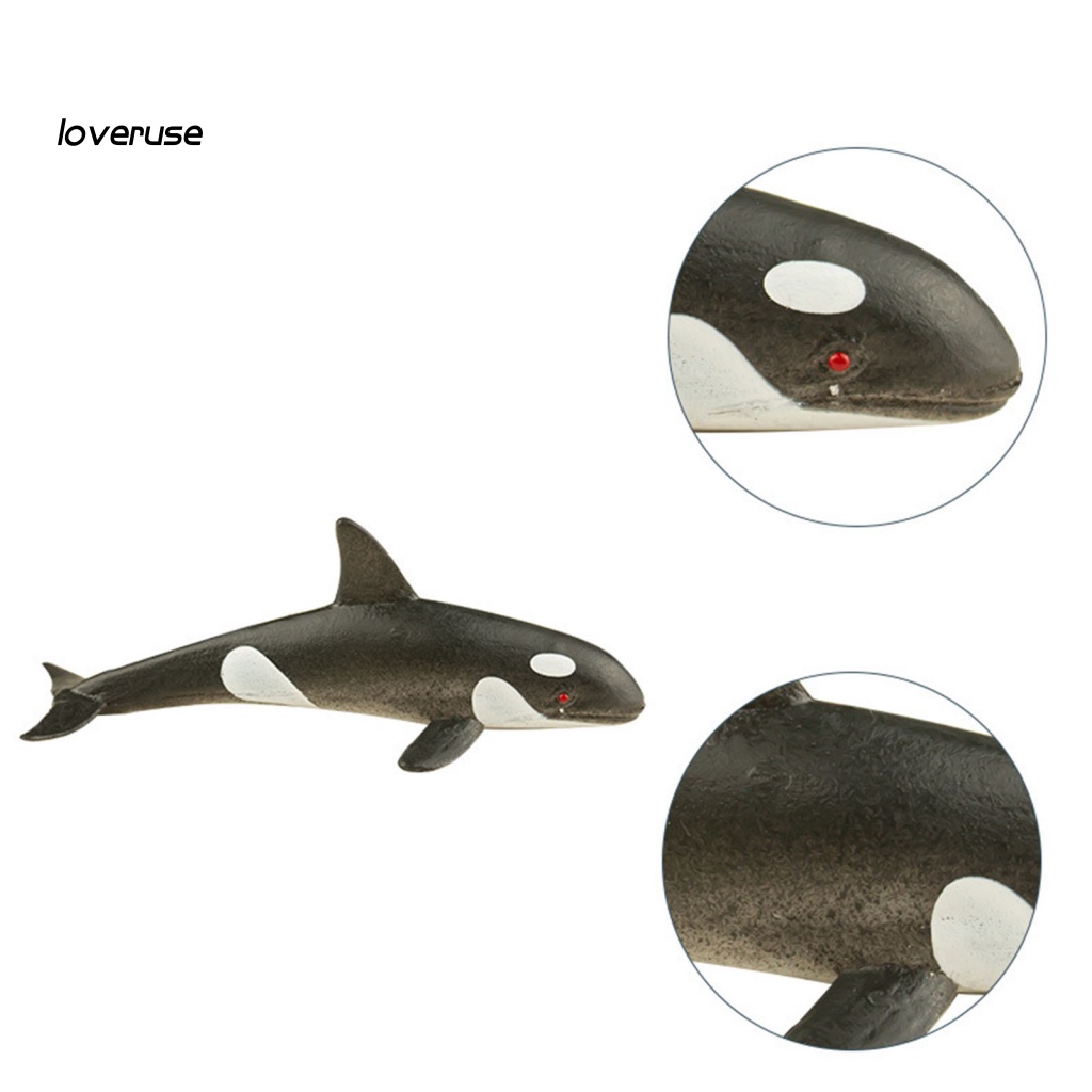 Set 36 Mô Hình Động Vật Biển Mini Xinh Xắn Cho Bé