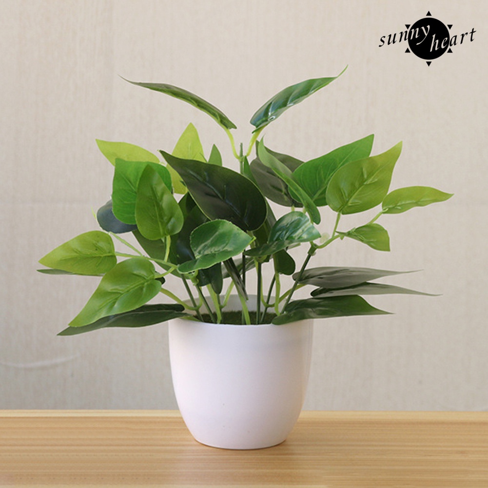 Chậu Cây Bonsai Bằng Nhựa Không Phai Đa Năng Trang Trí Nhà Cửa / Tiệc Cưới