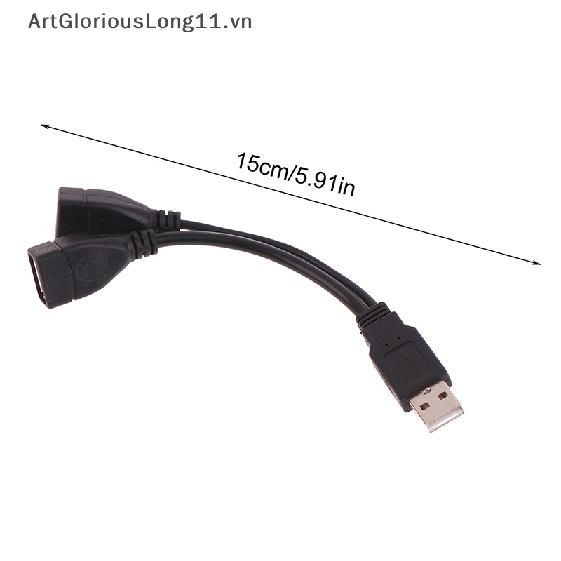 1 Dây Nối Dài Chuyển Đổi Cổng Cắm 15 / 30cm Sang 2 Ổ Cắm USB 2.0 Chuyên Dụng