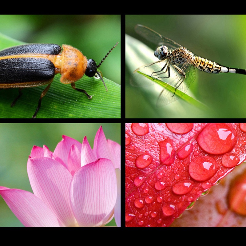 Ống Kính Macro Góc Siêu Rộng 0.45X Và 15X Kẹp Máy Ảnh Tiện Dụng Cho iphone