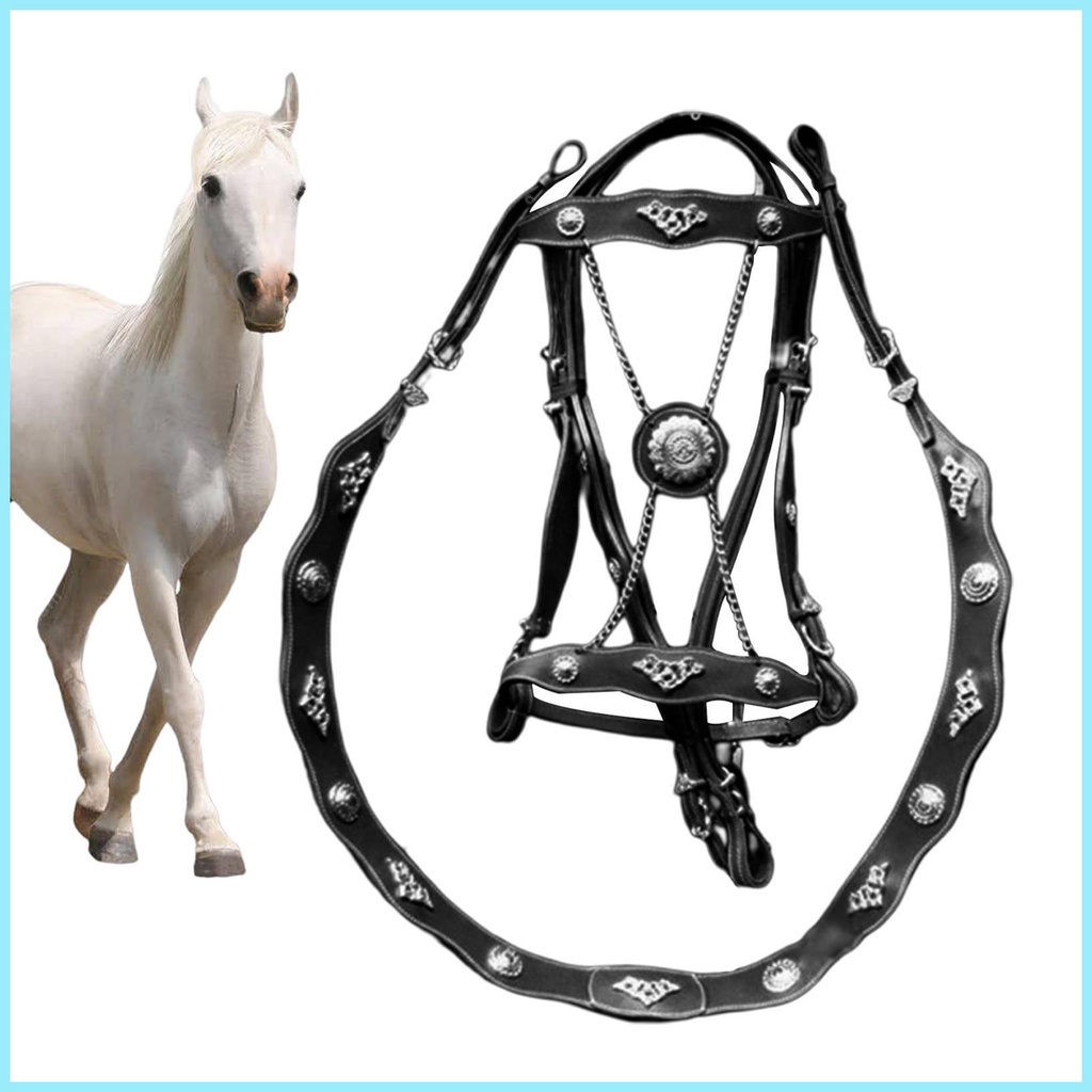Dây Buộc Ngựa Và Dây Dẫn Bằng Da PU Cho Ngựa Unfettered Thiết Kế Tiện Dụng Thoải Mái