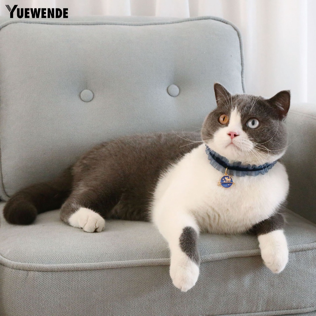 Vòng Cổ Co Giãn Trang Trí Hình Ảnh Dành Cho Thú Cưng YQ.E