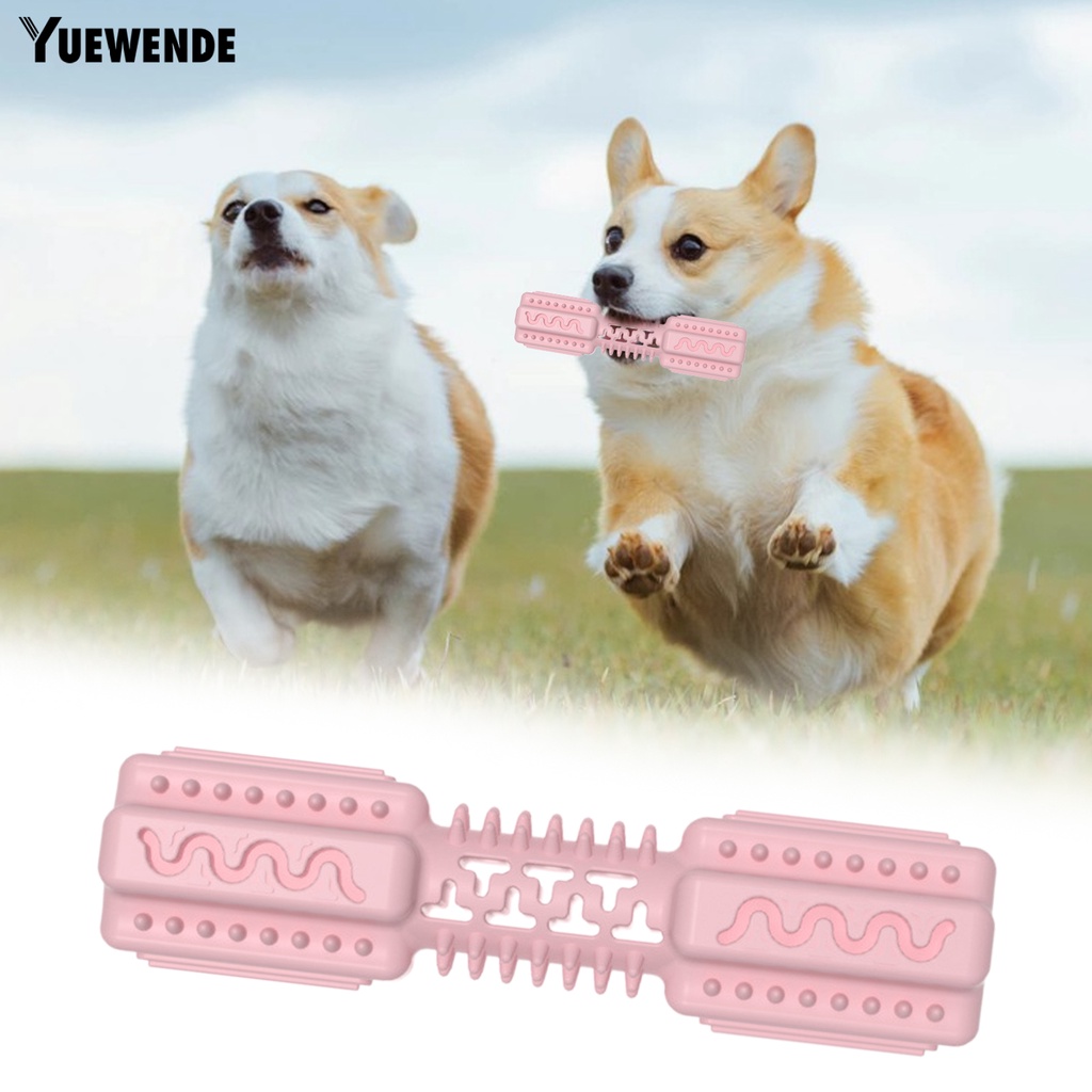 Đồ Chơi Mài Răng Hình Cục Xương Hoạt Hình Sáng Tạo Chống Mòn Chống Trầy Xước Giảm Căng Thẳng Thoải Mái Cho Cún Cưng