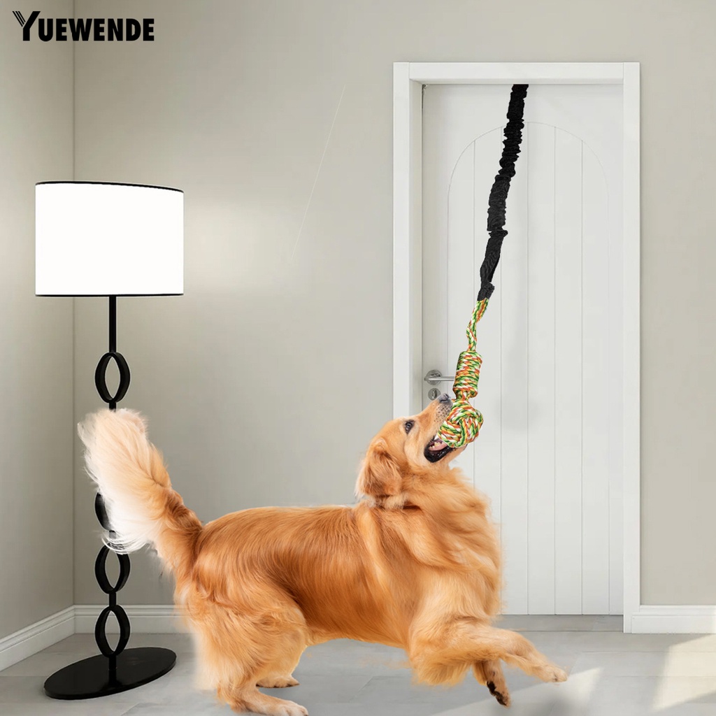 Yq.e Đồ Chơi Dây Thừng Co Giãn Tốt Giảm Căng Thẳng Làm Sạch Răng Chống Rách Cỡ Nhỏ Vừa Lớn Cho Cún Cưng Trong Nhà / Ngoài Trời