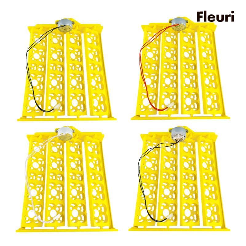 Khay Làm Trứng / Gà Tiện Dụng Chất Lượng Cao