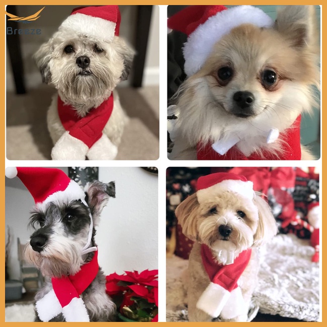 Set Khăn Choàng Cổ + Mũ Giáng Sinh Mềm Mại Thoải Mái Giữ Ấm Mùa Đông Cho Thú Cưng