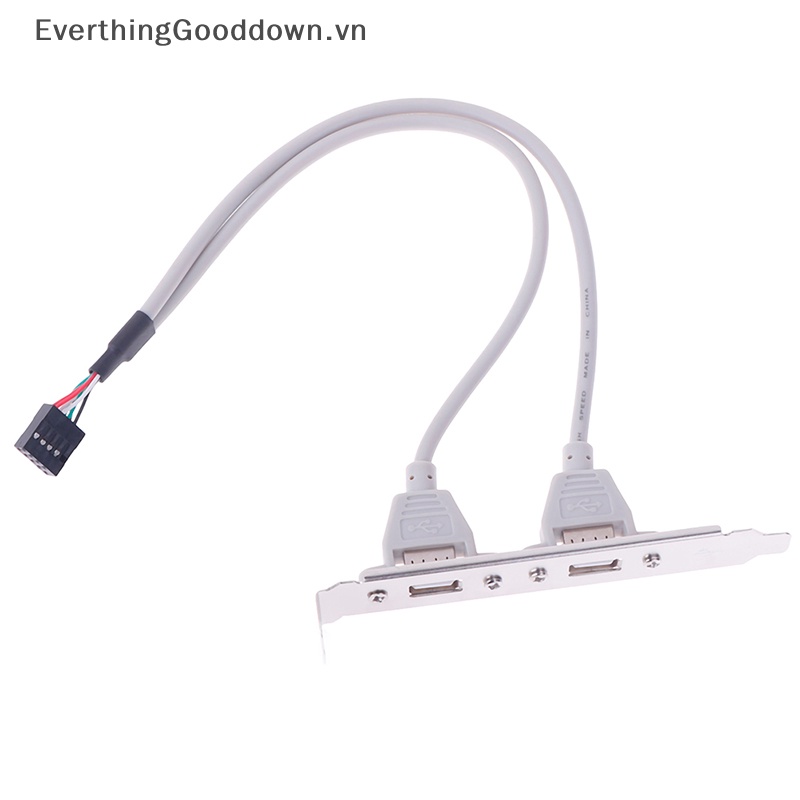 Everthingooddown 1 Bảng Mạch Mở Rộng Cổng USB 2.0 2 Cổng