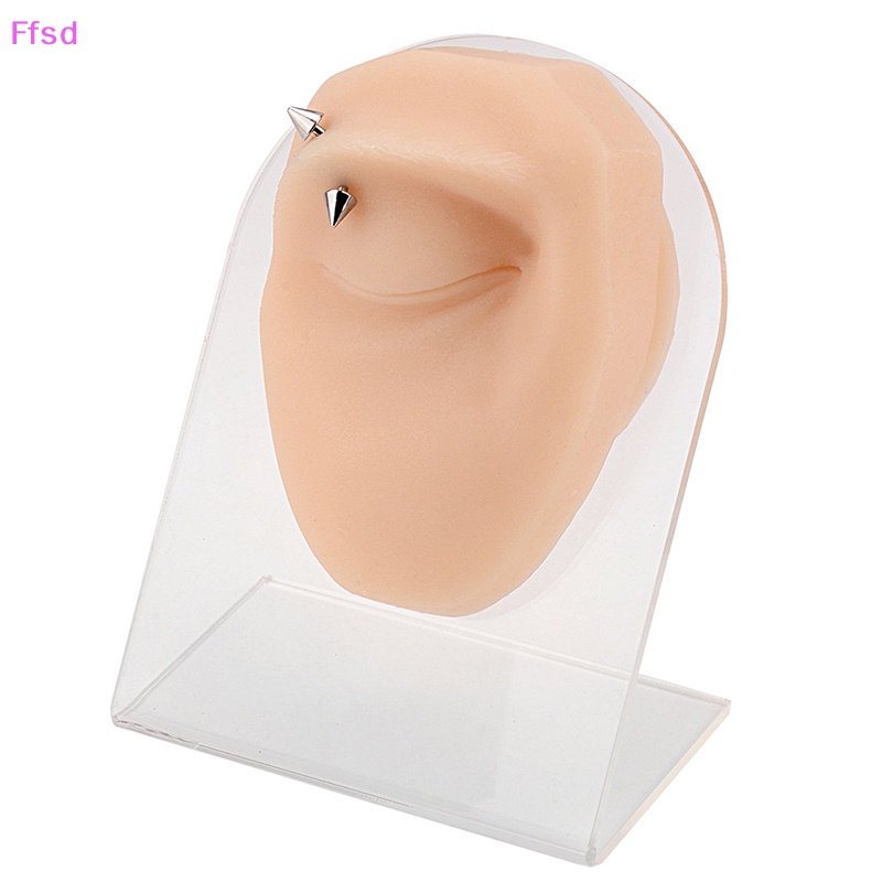 Mô Hình Mắt Người Bằng Silicon Dùng Dạy Học