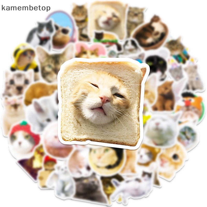 Bộ 50 Sticker Dán Trang Trí Hình Mèo Phong Cách Vintage