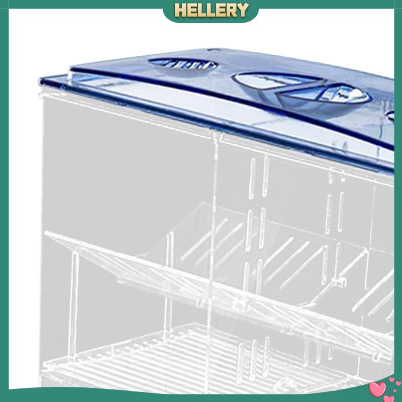 Hộp Nuôi Cá Dễ Sử Dụng Cho Văn Phòng Guppy Betta