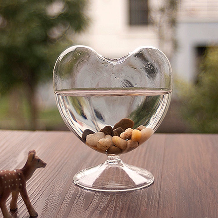 Kính Bình Hoa Bằng Thủy Tinh Thiết Kế Sáng Tạo Trang Trí Nhà Cửa/ Trí Sân Vườn