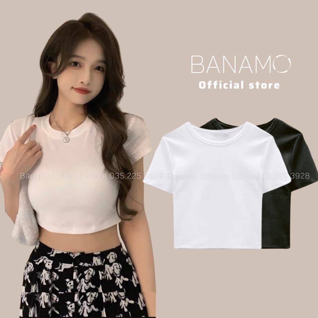 Áo Croptop Chất Cotton Thoáng Mát Thấm Hút Mồ Hôi Áo Thun Tay Cộc 2 Màu Đen Trắng Thời Trang Kim Hoàng Bigsize 313