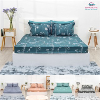 Bộ Ga chun +2 vỏ gối - Chất cotton - Sông Hồng chính hãng