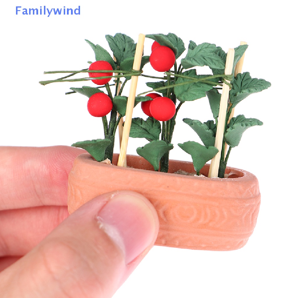 Quả Cà Chua Mini Tỉ Lệ 1: 12 Trang Trí Tiểu Cảnh