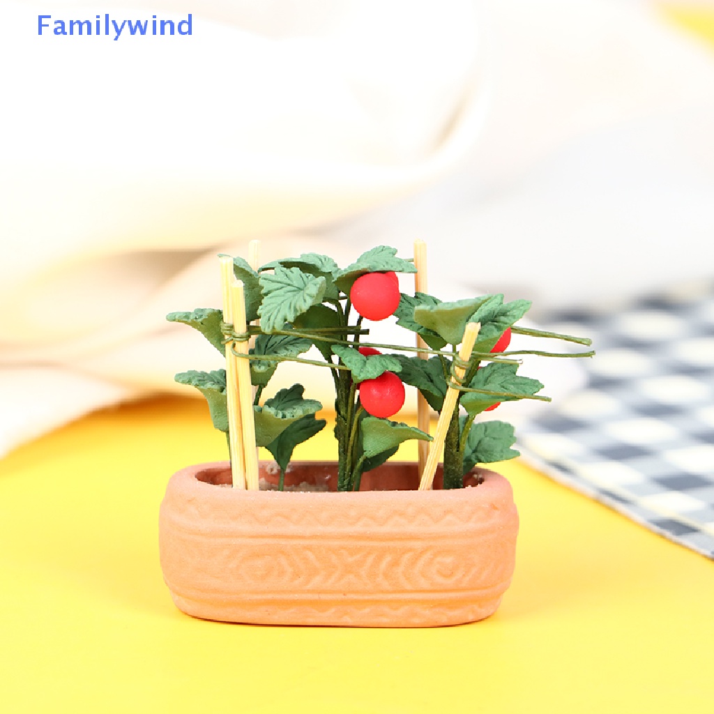 Quả Cà Chua Mini Tỉ Lệ 1: 12 Trang Trí Tiểu Cảnh