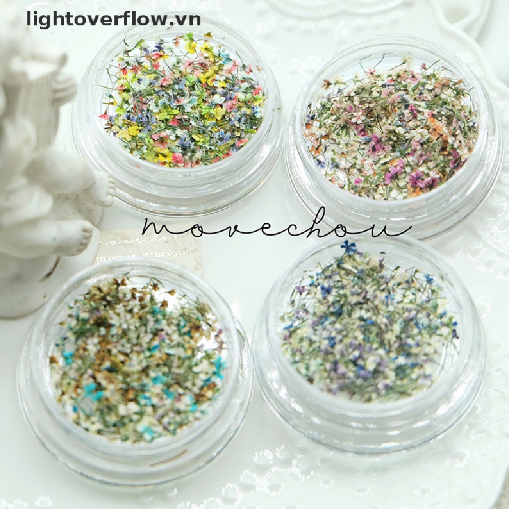 Hoa Khô 3D Dạng Nén Nhiều Màu Sắc Dùng Trang Trí Móng Tay Nghệ Thuật DIY