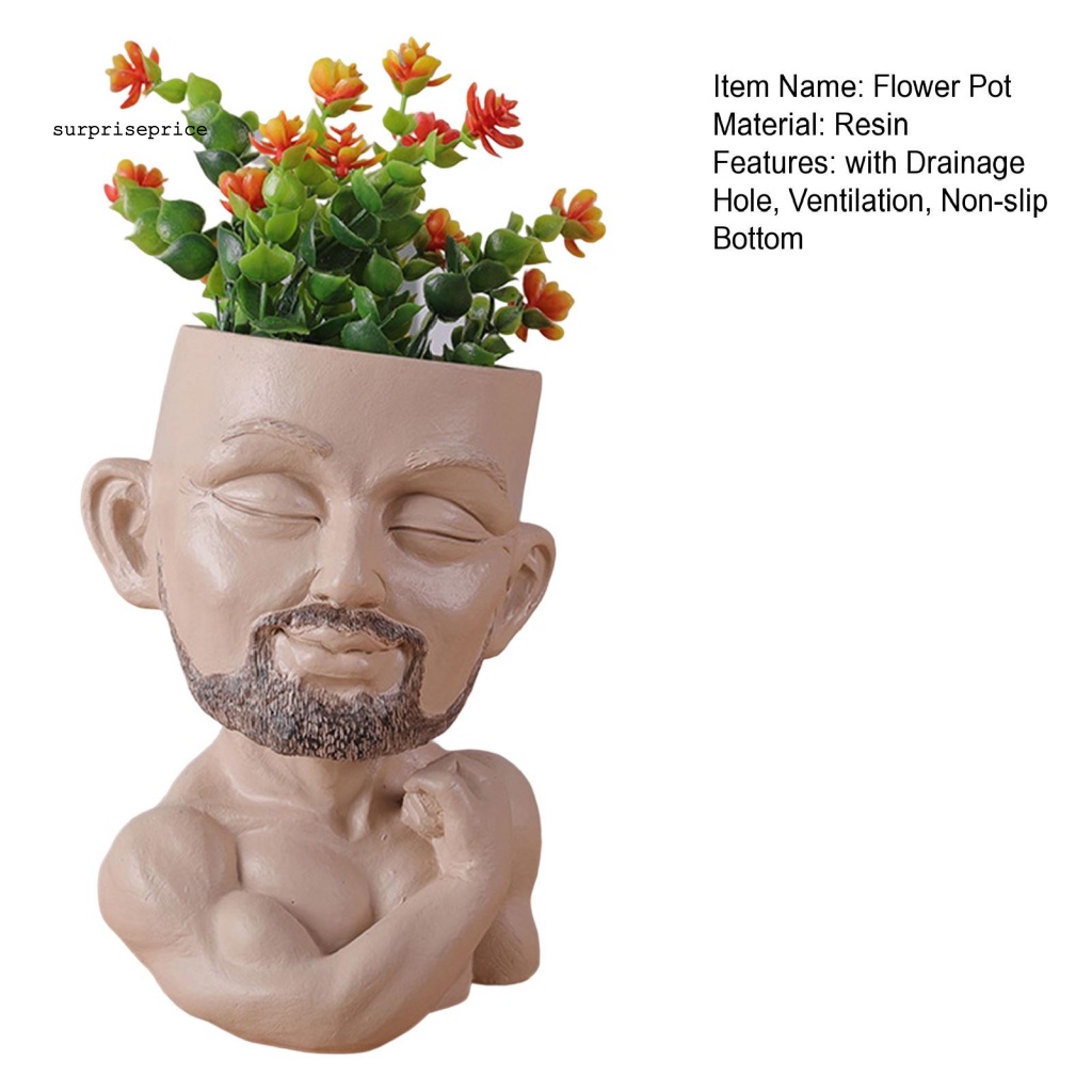 Chậu Trồng Cây Trang Trí Sân Vườn