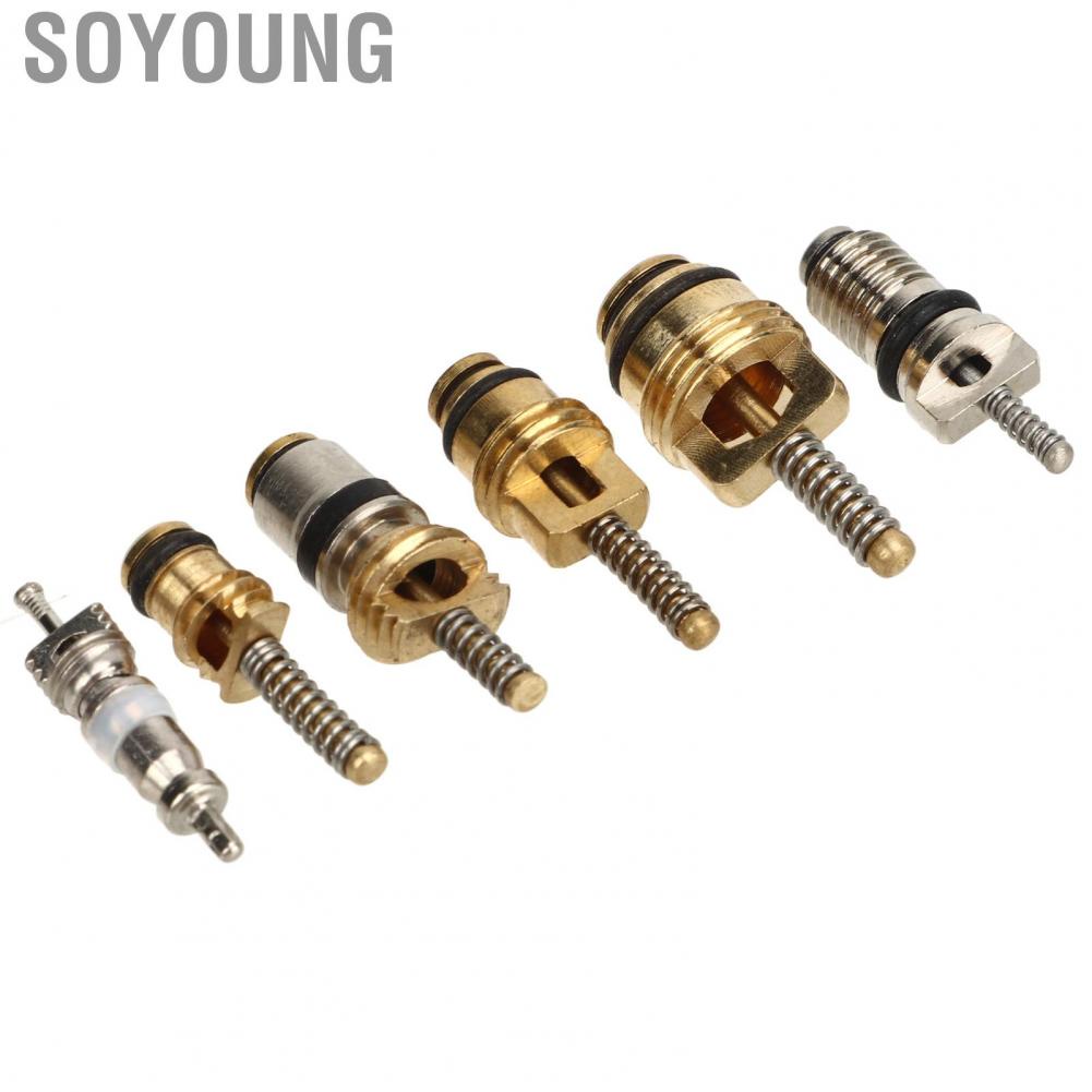 Soyoung AC Valve Core Repair Set  Multipurpose Refrigeration Tire Stem Lightweight Aluminium Copper 41Pcs Portable with Remover for Car Home
