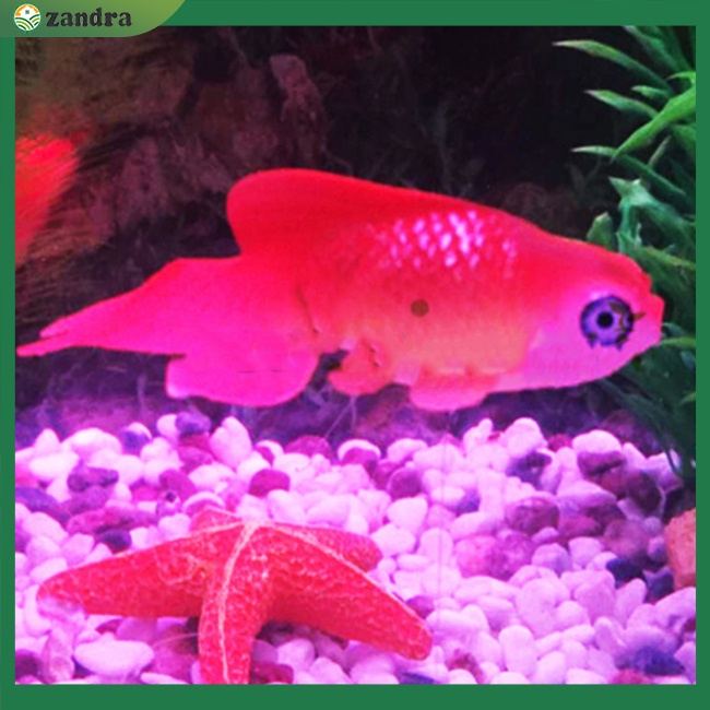 Mô Hình Cá Vàng Giả Bằng Silicone Phát Quang Dùng Trang Trí Bể Cá