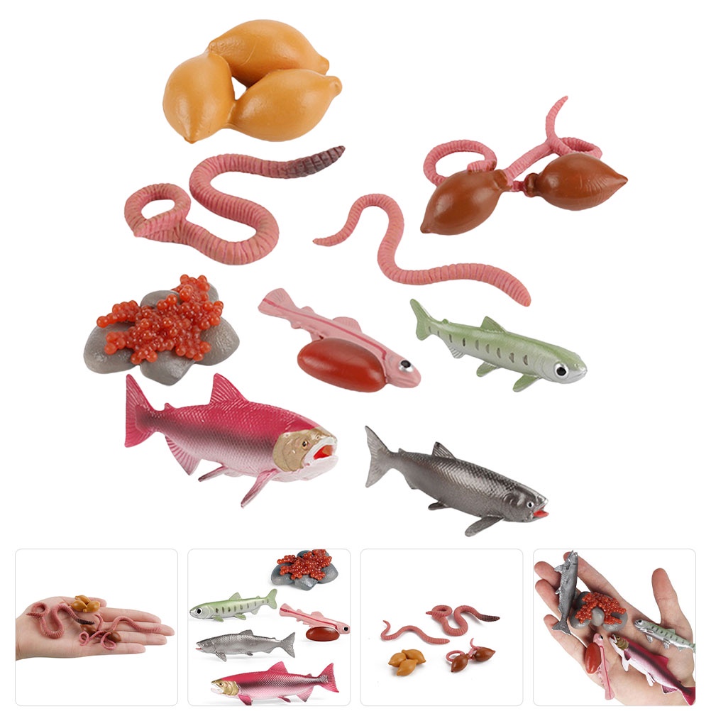 Octopus Toy Worm Fish Cognition Amphibian Figurines Child