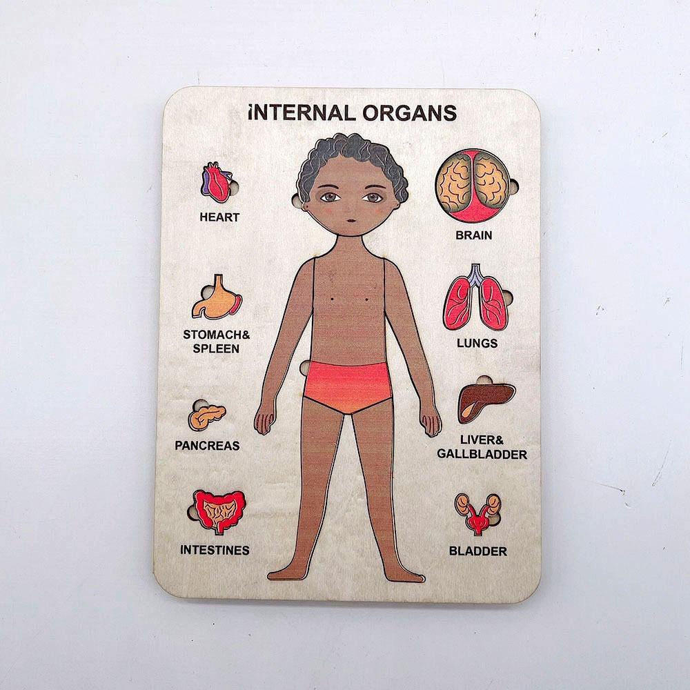 Bộ Đồ Chơi Xếp Hình Cơ Thể Người Bằng Gỗ Nhiều Lớp Giáo Dục Sớm Cho Bé