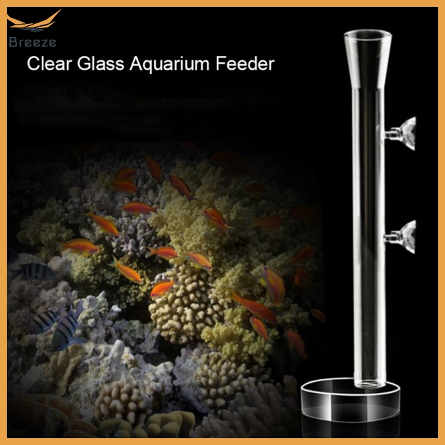 Hộp Đựng Thức Ăn Cho Cá Bằng Thủy Tinh Trong Suốt Kèm Hộp Đựng Tiện Lợi