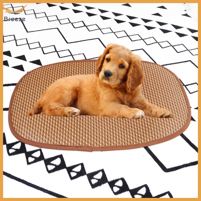 Chiếu điều hoà Mùa Hè Đa Năng Có Dây Đeo Cho Thú Cưng