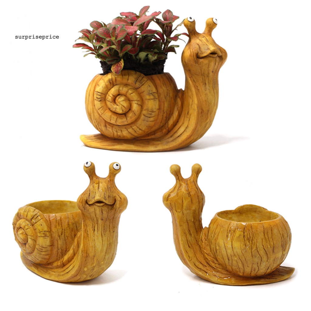 Chậu Trồng Cây Mọng Nước Hình Ốc Sên Thực Vật Thực Tế Hình Động Vật Dễ Thương Cho SPA