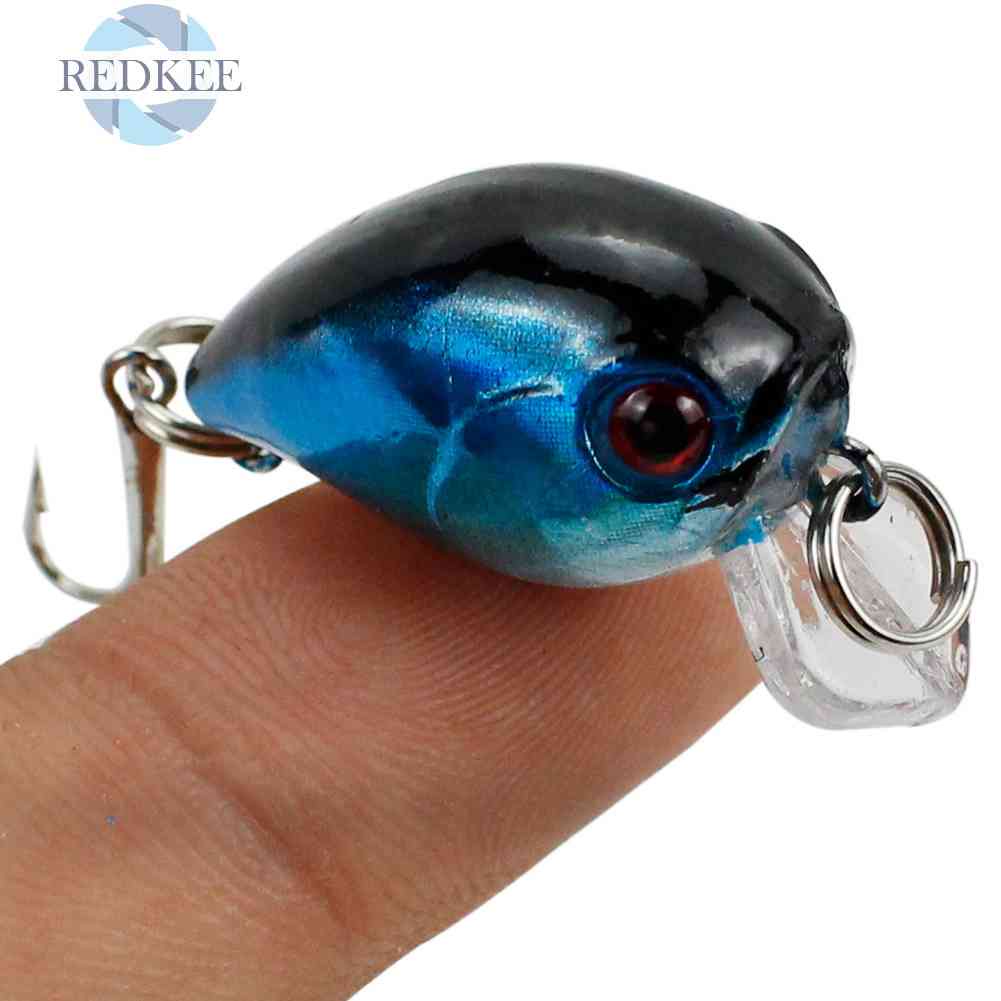 Set 10 Mồi Giả Nhử Cá Bằng Nhựa Gắn Kèm Móc Câu