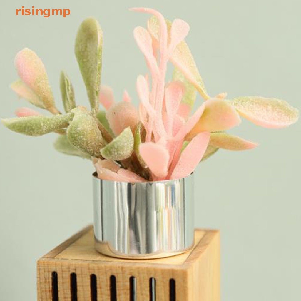 1 Mô Hình Chậu Cây Mini Tỉ Lệ 1 / 6 1 / 8 Dùng Trang Trí Nhà Búp Bê