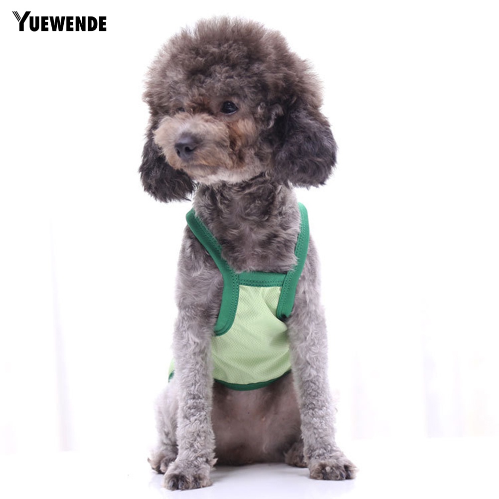 Áo Sát Nách Hình Quả Bơ / Khủng Long Dễ Thương Cho Thú Cưng