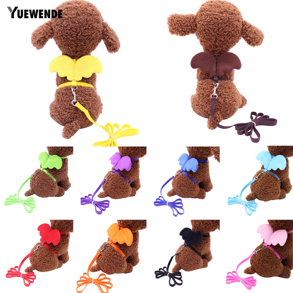 Dây Dắt Thú Cưng Đi Dạo Hình Đôi Cánh Dễ Thương