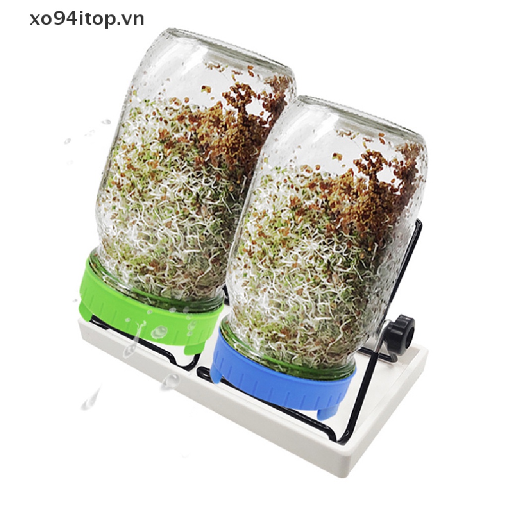 Xoitop Hộp Nhựa Miệng Rộng Đựng Mầm Mầm Trồng Cây Mầm Có Nắp Đậy Dạng Lưới Cấp Thực Phẩm