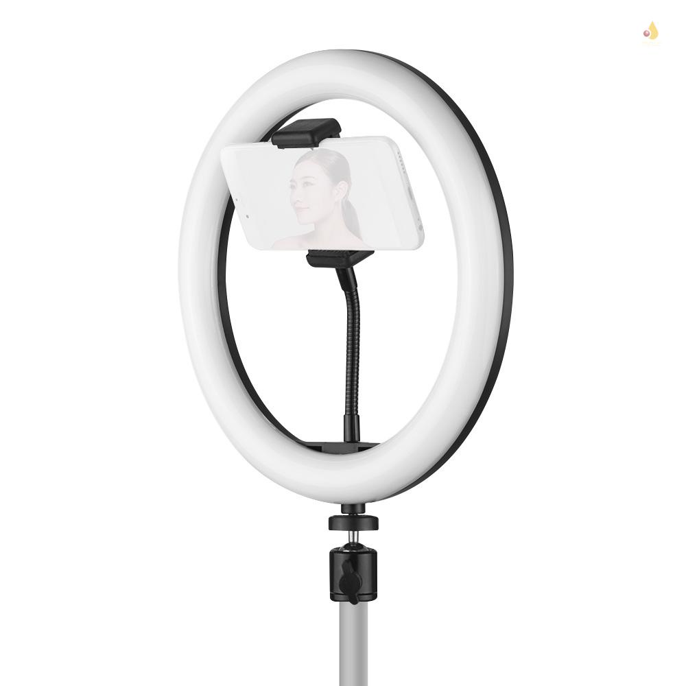 Vòng Đèn LED 10 Inch 3 Chế Độ Điều Chỉnh Được Kèm Giá Đỡ Điện Thoại Dùng Quay Video YouTube / Quay Video